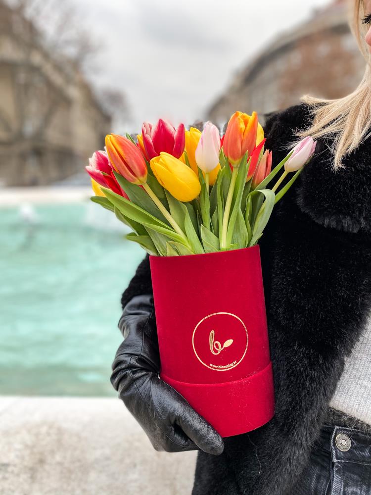 Baršunasti FlowerBox sa tulipanima-crveni