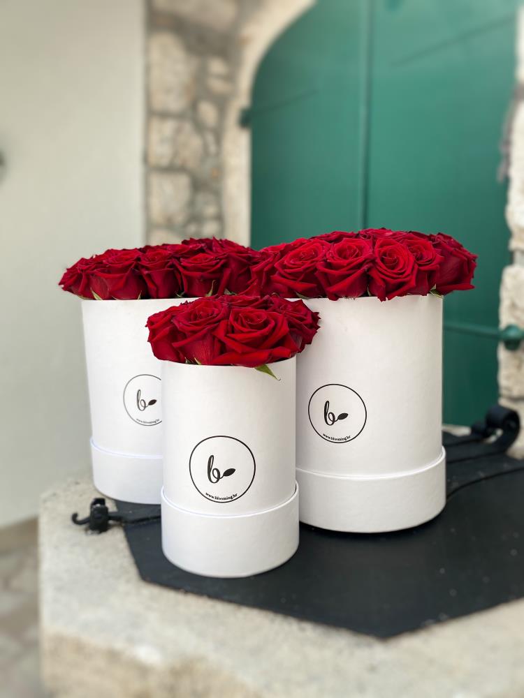 FlowerBox sa ružama- bijeli 9