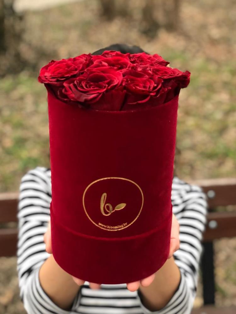 124-dugotrajne-ruže-flowerbox-sa-dugotrajnim-ružama--crveni-baršun