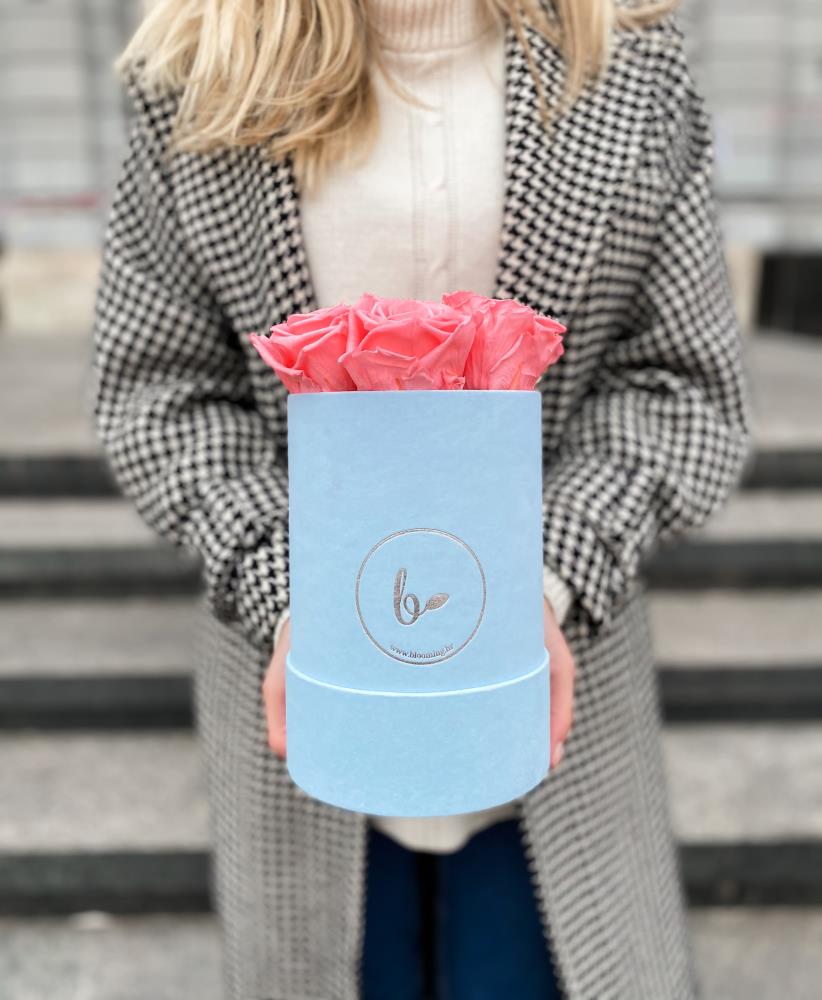 FlowerBox s dugotrajnim ružama- plavi baršun6