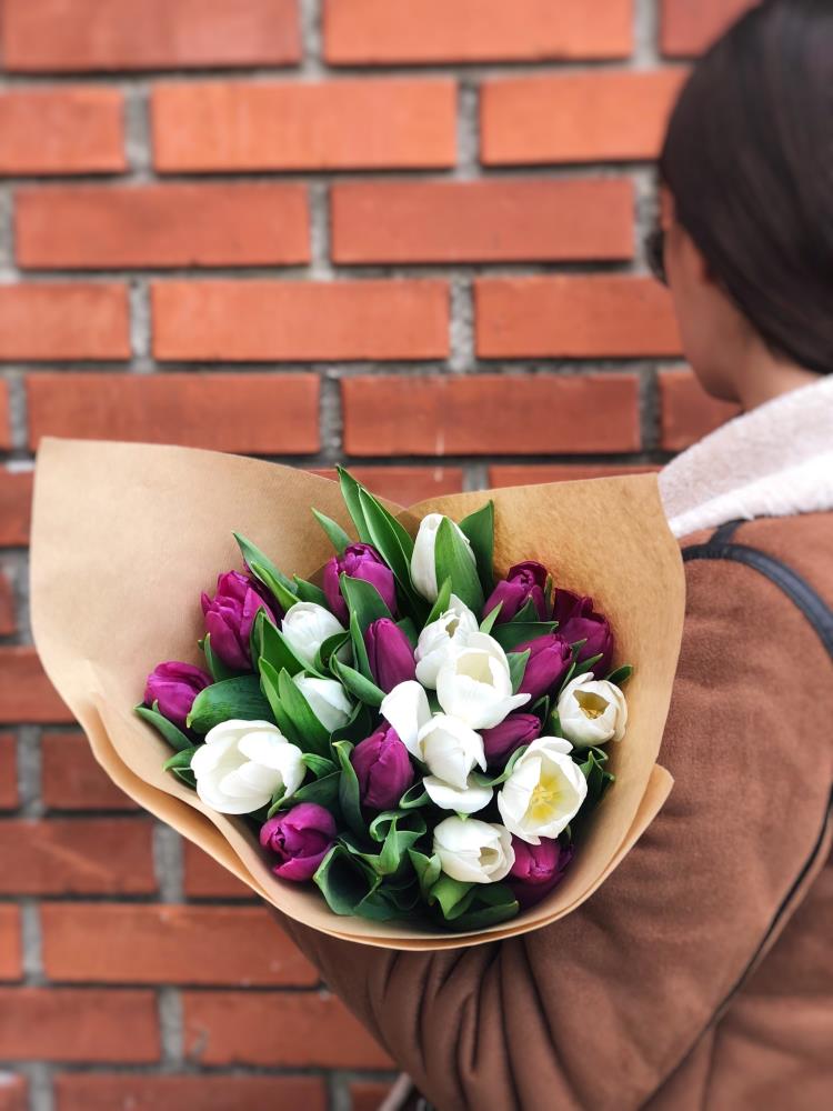 buket tulipana1