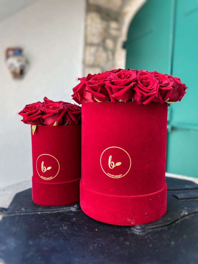 Baršunasti FlowerBox sa ružama-crveni 2