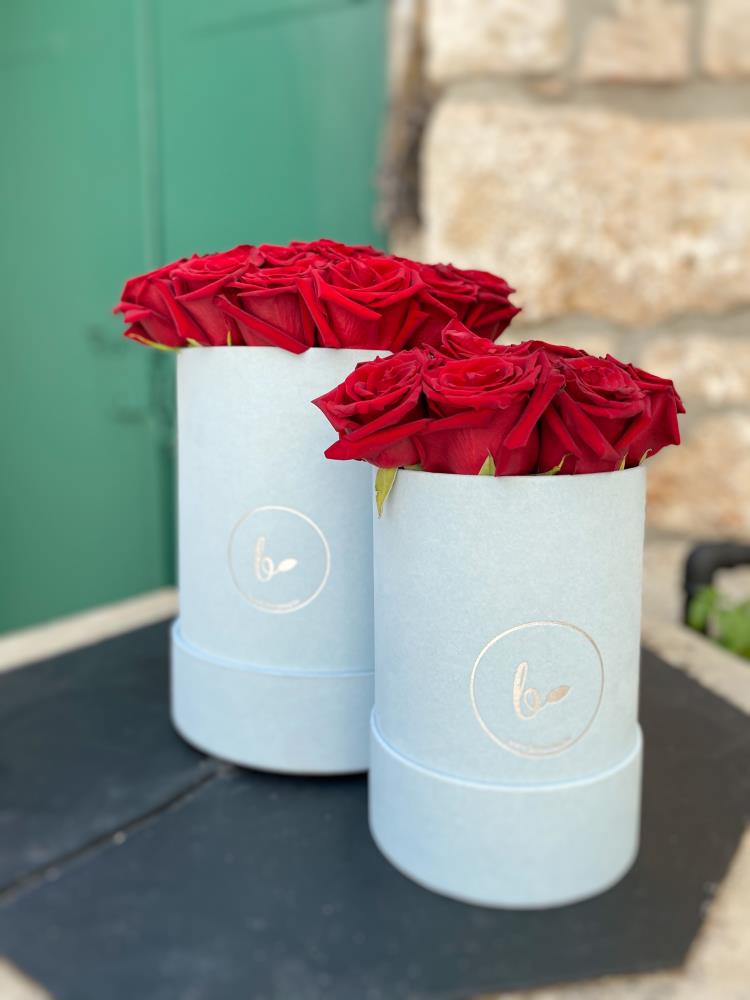 Baršunasti FlowerBox sa ružama-plavi 5