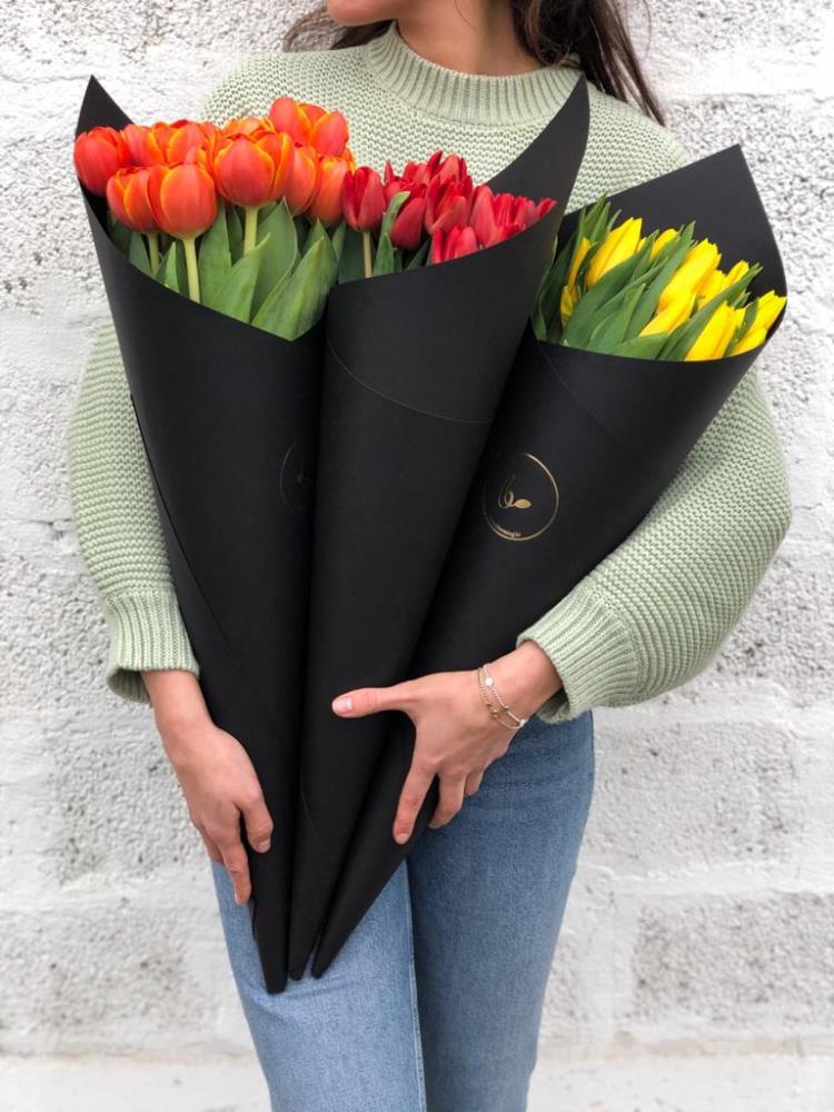 52-tuljac-blooming-crni-tuljac-s-tulipanima