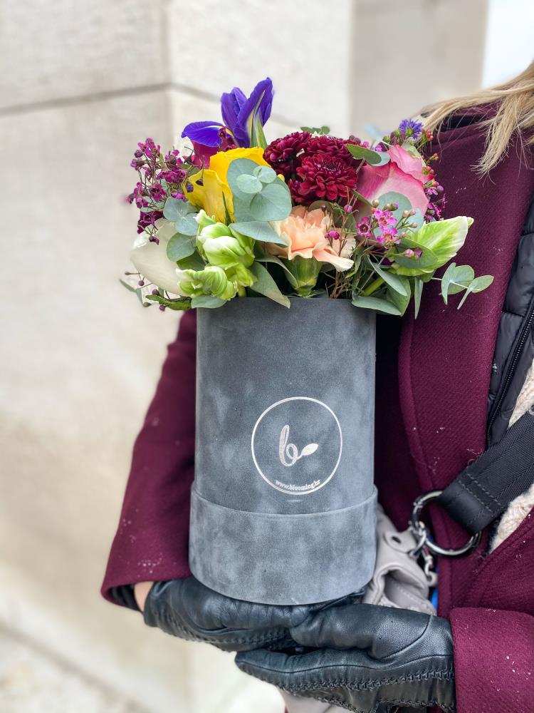 FlowerBox Miks- sivi baršun3